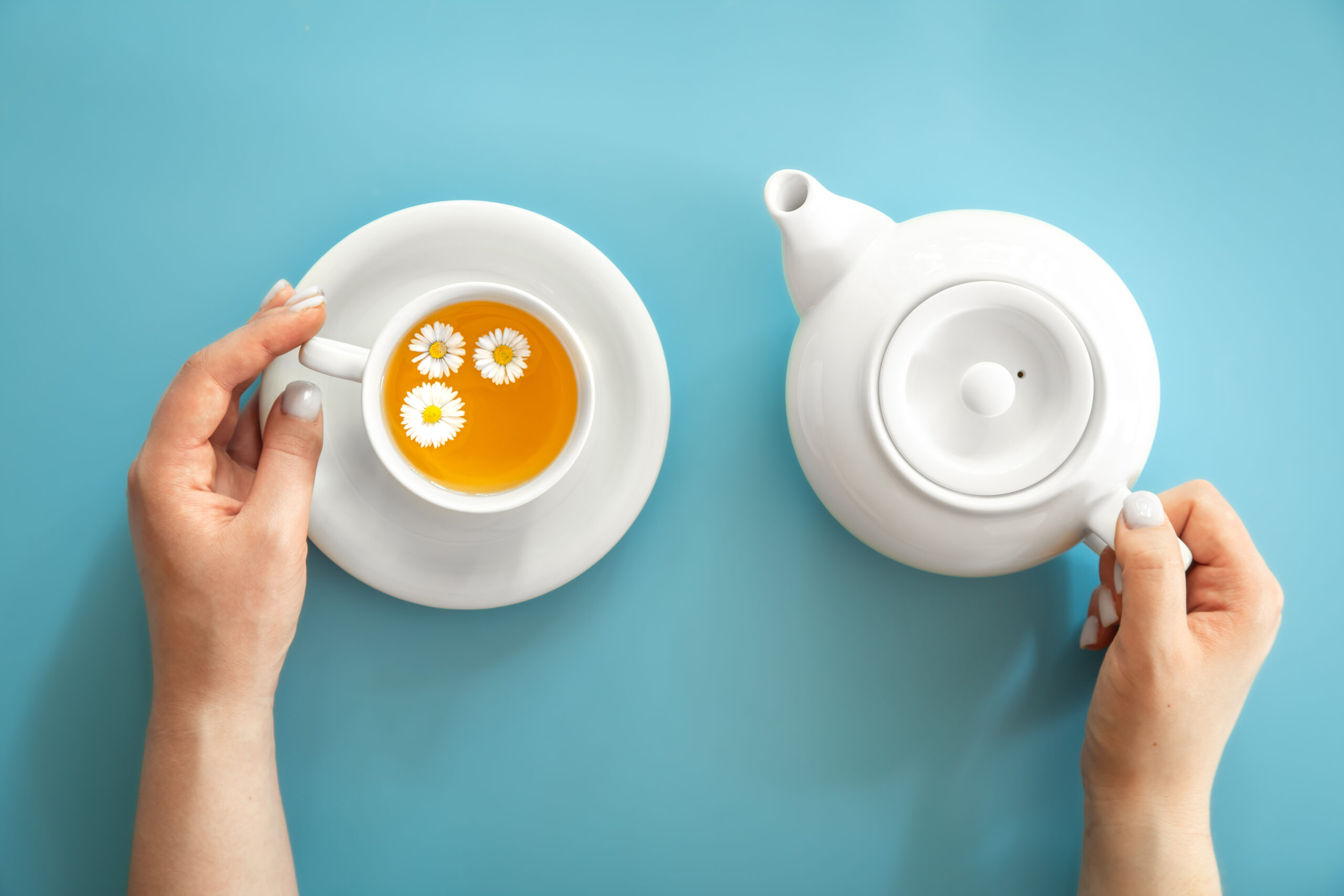Cup of herbal tea with white teapot on a blue background